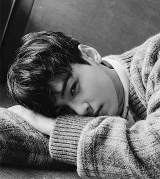 차은우
